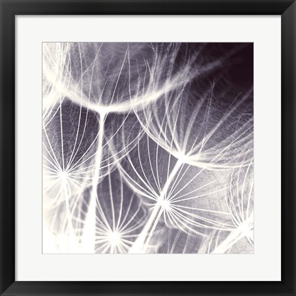 Framed Blown Away Print