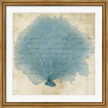 Framed Blue Coral IV Print