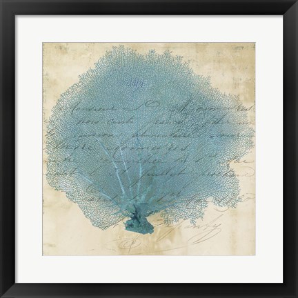 Framed Blue Coral IV Print