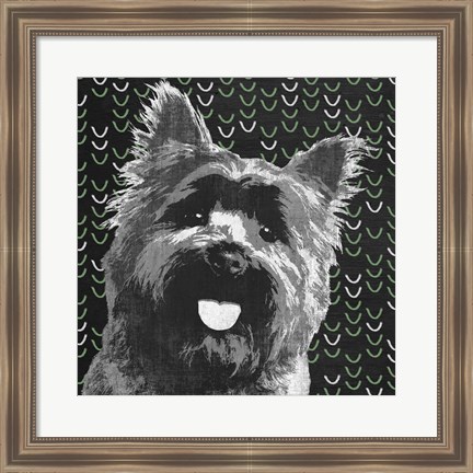 Framed Yorkie Print