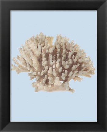 Framed Coral I Print