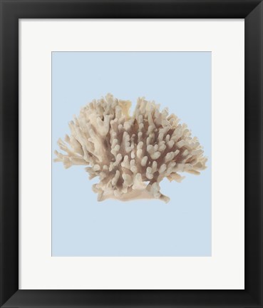 Framed Coral I Print