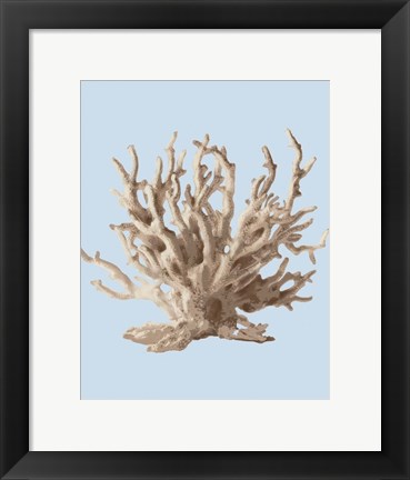 Framed Coral II Print