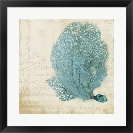 Framed Blue Coral II Print