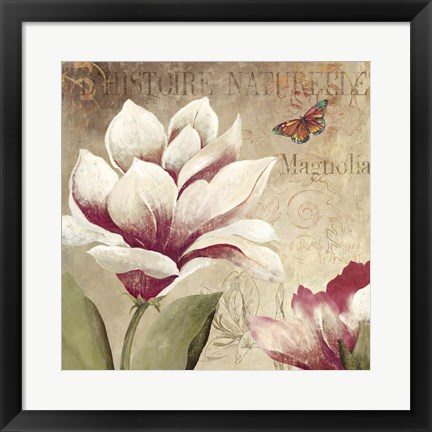 Framed Magnolia Print