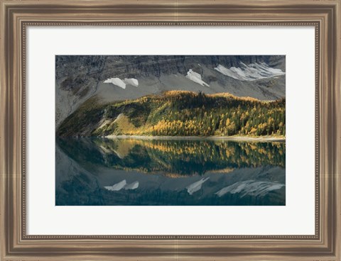 Framed Floe Lake Print