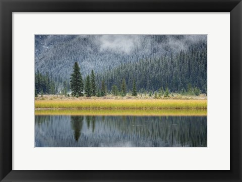 Framed Waterfowl Lake II Print