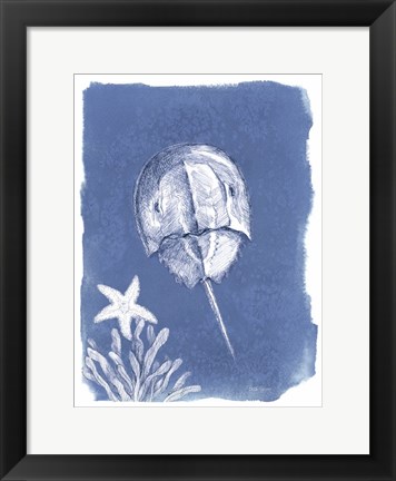 Framed Coastal Sea Life VI Print