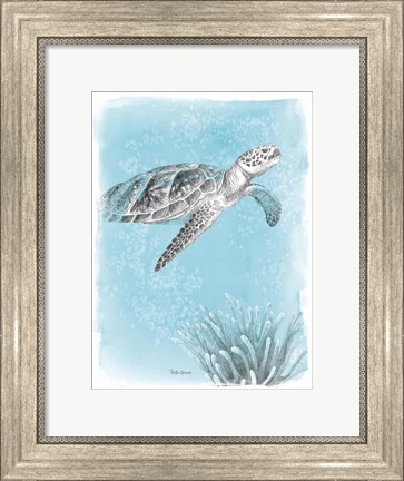 Framed Coastal Sea Life I Print