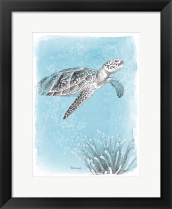 Framed Coastal Sea Life I Print