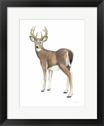 Framed Wilderness Collection Deer II Print