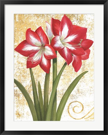 Framed Winter Birds Amaryllis I Gold and White Print