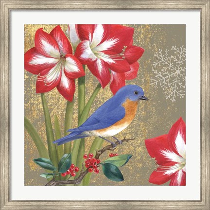 Framed Winter Birds Bluebird Print