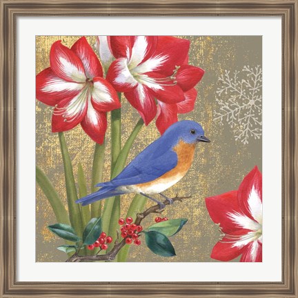 Framed Winter Birds Bluebird Print