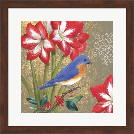 Framed Winter Birds Bluebird Print