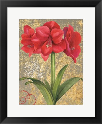 Framed Winter Birds Amaryllis II Print