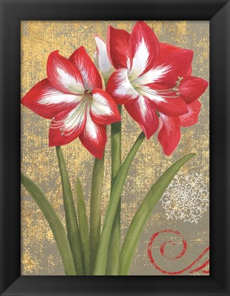 Framed Winter Birds Amaryllis I Print