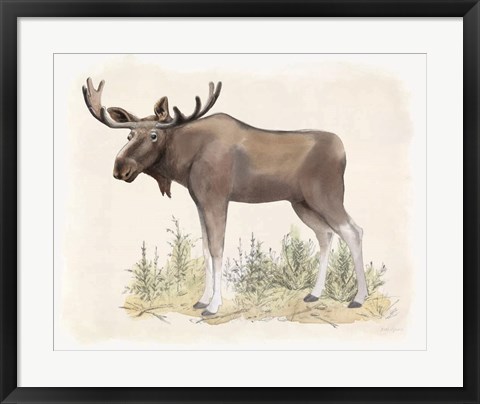 Framed Wilderness Collection Moose Print