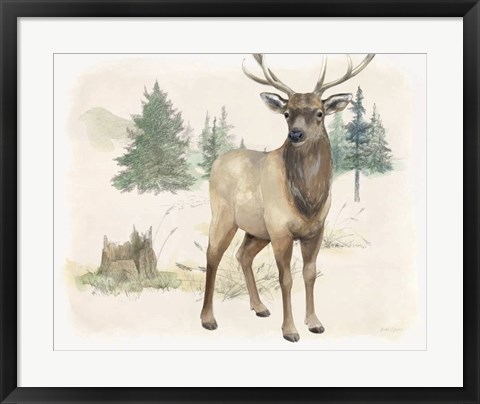 Framed Wilderness Collection Elk Print