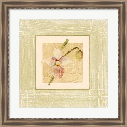 Framed Exotic Floral IV Print