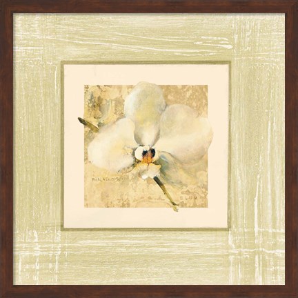 Framed Exotic Floral III Print