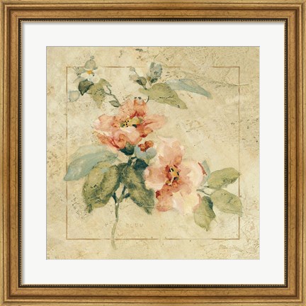 Framed Provence Rose I Print