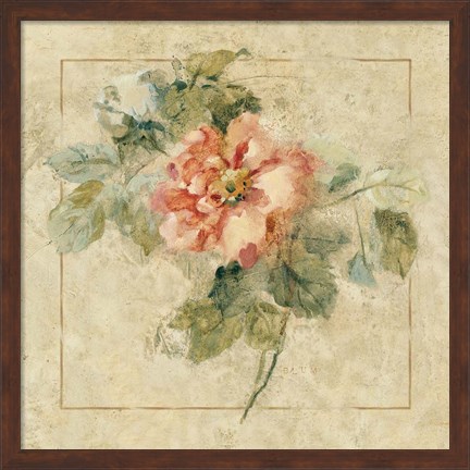 Framed Provence Rose II Print
