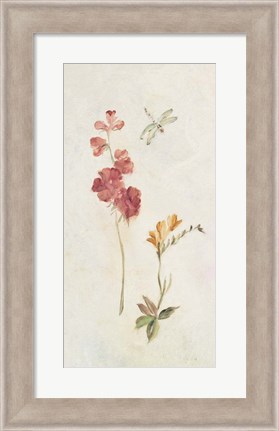 Framed Wild Wallflowers II Print