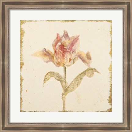 Framed Vintage Zoomer Schoon Tulip Crop Print