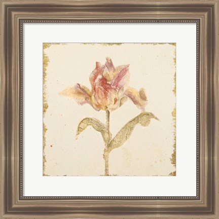 Framed Vintage Zoomer Schoon Tulip Crop Print