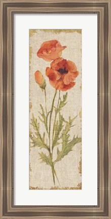 Framed Poppy Panel on White Vintage Print