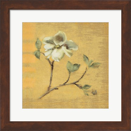 Framed Dogwood Blossom on Gold Print