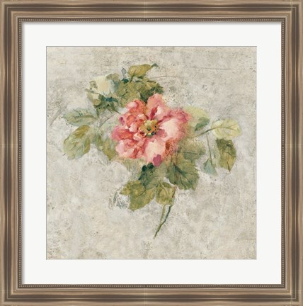 Framed Provence Rose II Red and Neutral Print