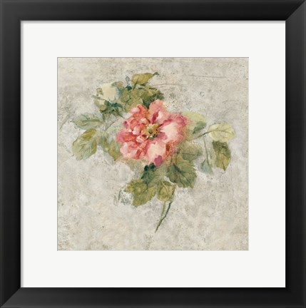 Framed Provence Rose II Red and Neutral Print