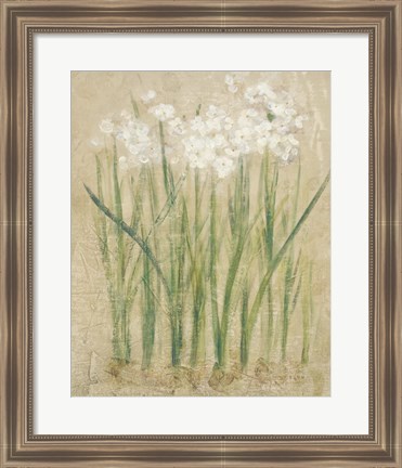 Framed Narcissus Cool Print