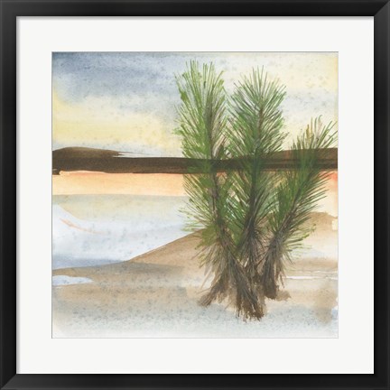 Framed Desert Yucca Print