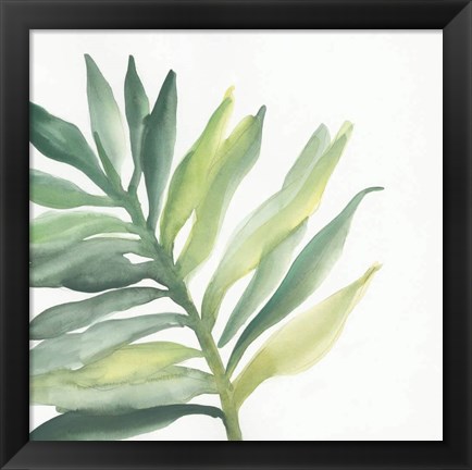 Framed Tropical Palm III Print