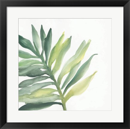 Framed Tropical Palm III Print