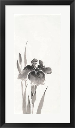 Framed Japanese Iris III Print