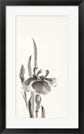 Framed Japanese Iris II Print