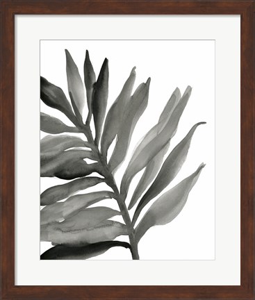 Framed Tropical Palm III BW Print