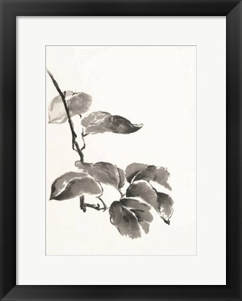 Framed Sumi Kiwi Print