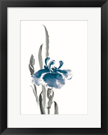 Framed Japanese Iris II Crop Indigo Print