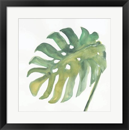 Framed Tropical Palm IV Print