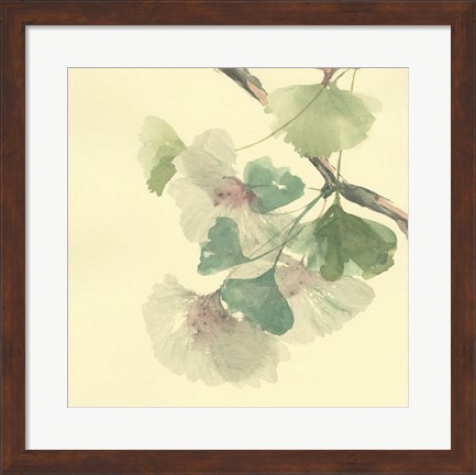 Framed Gingko Leaves II Print