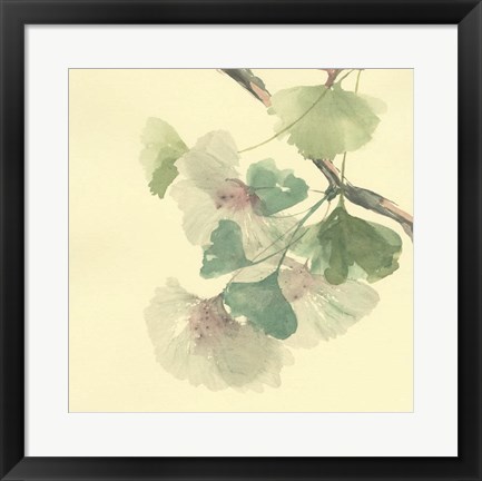 Framed Gingko Leaves II Print