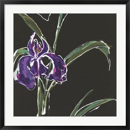 Framed Iris on Black II Print