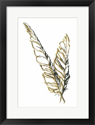 Framed Gilded Raven Feather Print