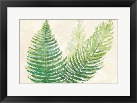 Framed Ferns Square III v2 on Cream Print