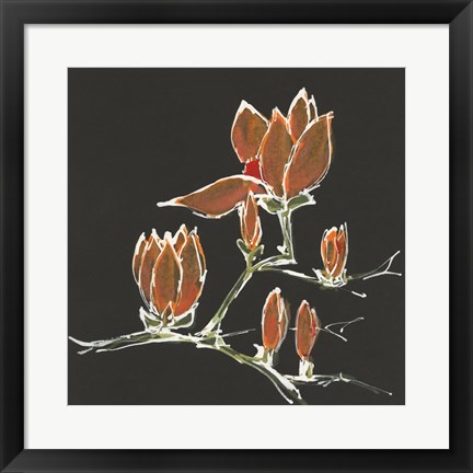 Framed Magnolia on Black IV Print